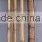 Bamboo poles for garden plant from Vietnam