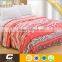 Super Soft Cheap Double Mink Blanket Flannel Blanket