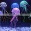 Colorful and small jellyfish crystal jellyfish