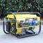 BISON(CHINA) 2KW Home Standard Gas Power Methane Generator                        
                                                Quality Choice
