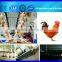 Poultry Slaughter Processing Line/Chicken Slaughterhouse Equipment/Poultry Processing Line