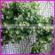 artificial desmodium green foliage for flower making