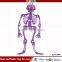 Halloween Decoration Luminous Skeleton frame with sound