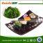 Chinese wholesale halal seaweed