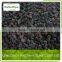 Fresh Freezing Type Organic Blackberry