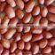 GROUNDNUT KERNEL JAVA 50/60