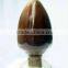 GMP Manufacturer Supply Reishi Mushroom Extract