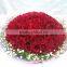 High Quality Fresh Cut Flowers/ Red Roses For Wedding