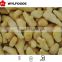 IQF frozen ginger best price best quality