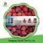 Best selling delicious new crop natural frozen strawberry