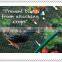 HDPE green agriculture netting