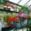 Innovative Gorgeous Luxury Tempered Glass Glazing Plan GreenhouseHX91403L