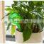Plastic automatic water globe/Plastic plant watering ball