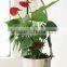 3w Desktop LED Grow Light for Indoor Flower Pot