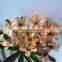 Home garden decoration 108cm hight white Single branch 6 heads small artificial wedding flowers ELTH03 0403