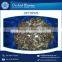 Excellent Quality and Tasty Octopus from Wholesale Supplier