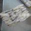 Hot Sale Whole Round Frozen Baby Squid
