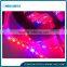 Plant growth LED lights