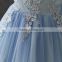 High quality OEM Princess Blue Short sleeves Embroidery Flower girls party dresses Lovely Fluffy Tulle baby Communion dresses