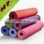Non-slip family game blank tpe yoga mat / yoga mat manufacturer