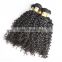 100% bundle weft Brazilian Remy Virgin human indian hair extensions