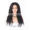 Human hair glueless lace front wig mongolian kinky curly hair wigs