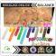 Durable colorful pet leash, pet collar