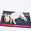 2 In 1 Double Side Reversible Soft Plush And Cooling Gel Pet Dog Bed