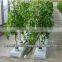 COCO GROW BAGS MANUACTURERS