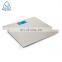 Portable Stainless Steel Platform Body Weight Scale Health Bathroom Electronic Weighing Scale
