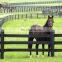 galvanized steel board horse fence powder coated cattle fence pe horse fence in good price
