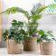 High Quality Vietnam Woven Seagrass Baskets Woven Storage Planter Wicker Organic Plant Holder