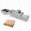 Eggs brush washer sorting sterilization oiling machine automatic egg washing machine