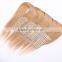 Raw natural Russian remy hair tape hair extension