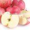 2016 Super sweet fresh fuji apple from China