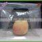 Wholesale Transparent Eight Edges Stand Up Pouch Sealing Slidder Zip Lock Fruit or Vegetables Bag With Hang Hole Air Holes