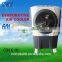 Outdoor Restaurant rotating mould desert large air cooler