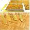 Promotion Series illuminated dance floor