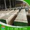 China Scaffold Plank Dimensions