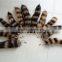 Factory wholesale 100% real Raccoon Tail Fur