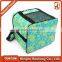 Soft sided insulated cooler bag/Fancy cooler bag