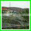 reused virgin HDPE vineyard bird sail/plastic bird mist net for sale