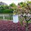 Waterproof Solar Power Hanging Cylinder Lanterns LED Landscape Path Yard Garden Outdoor Patio Holidays Decoration Light Lamp
