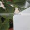 Aicd etched Frosted Laminated glass with AS/NZS 2208:1996 certificate