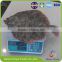 CIQ Qualified Supplier for Wholesale of Live Turbot Fish (China Origin)