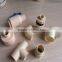2014 Cheapest High quality cpvc fittings Pipe Fittings cpvc pipe fittings for hot water supply CPVC ASTM D2846