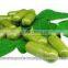 PKM1 Moringa Seed - Best Quality from India (Use for Herbal)