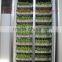 hydroponics fodder machine ,wheat /barley fodder sprout system