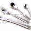 Stainless Steel Cutlery Set