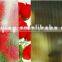 hot selling 4mm clear patterned glass best quality